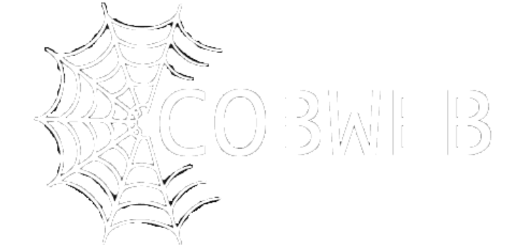 Cobweb Logo