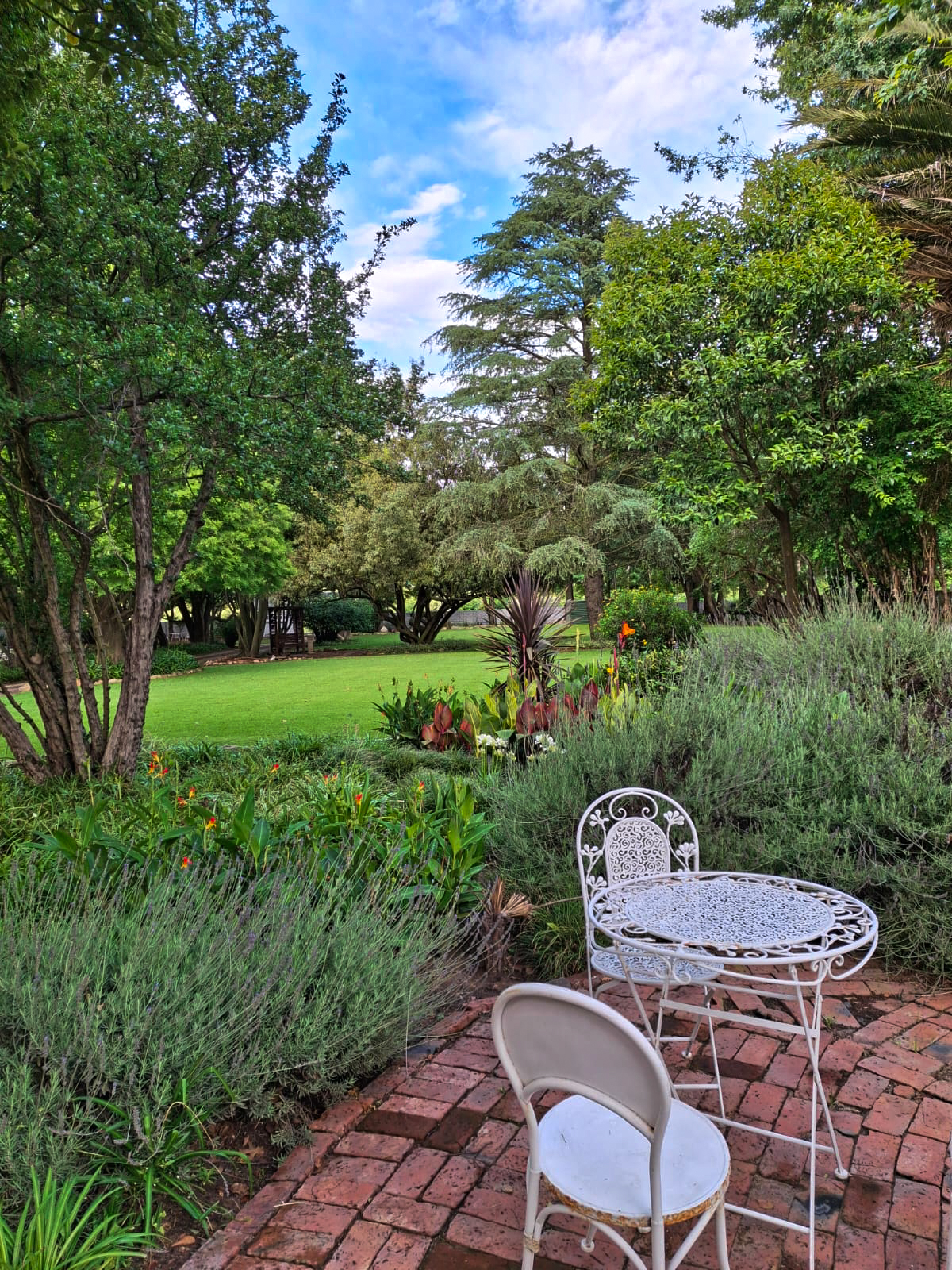 Under Elm Tree Gardens