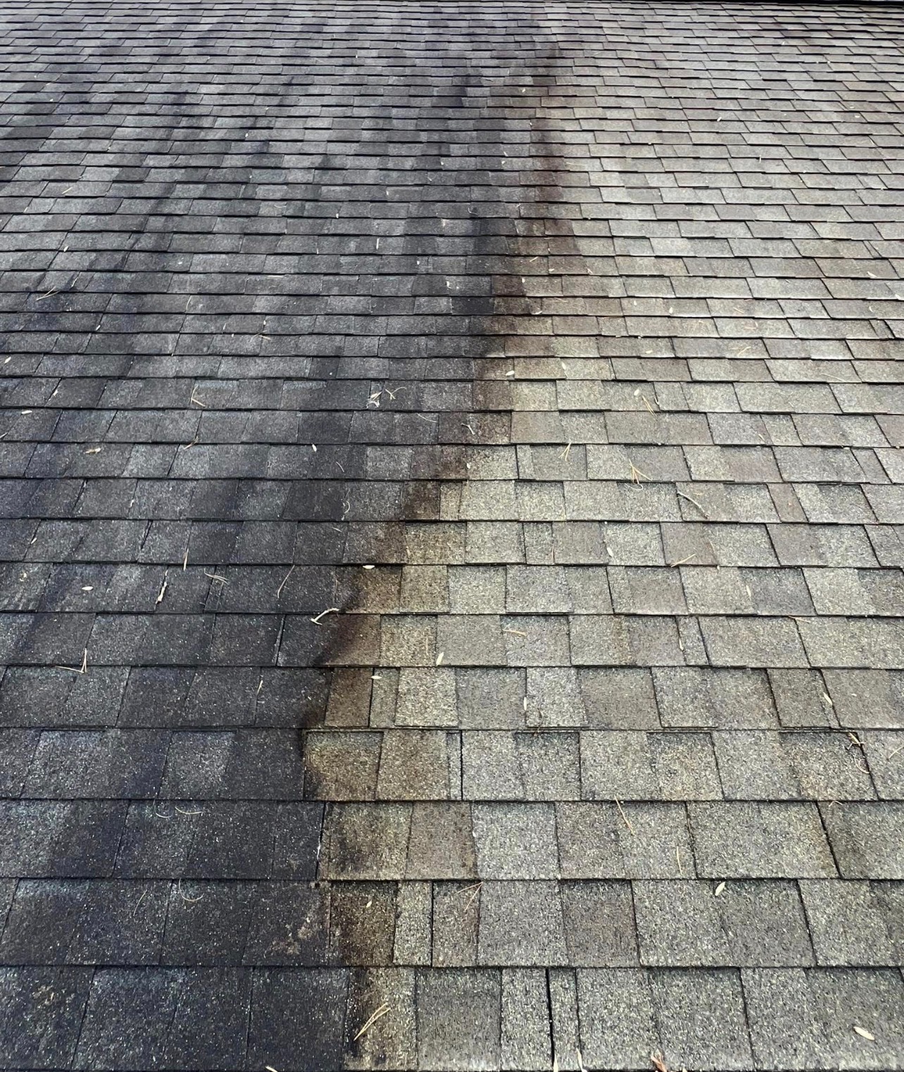 Spotless house exterior siding after soft wash