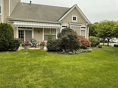 Expansive wooden deck leading into a beautifully landscaped backyard with mature pine trees