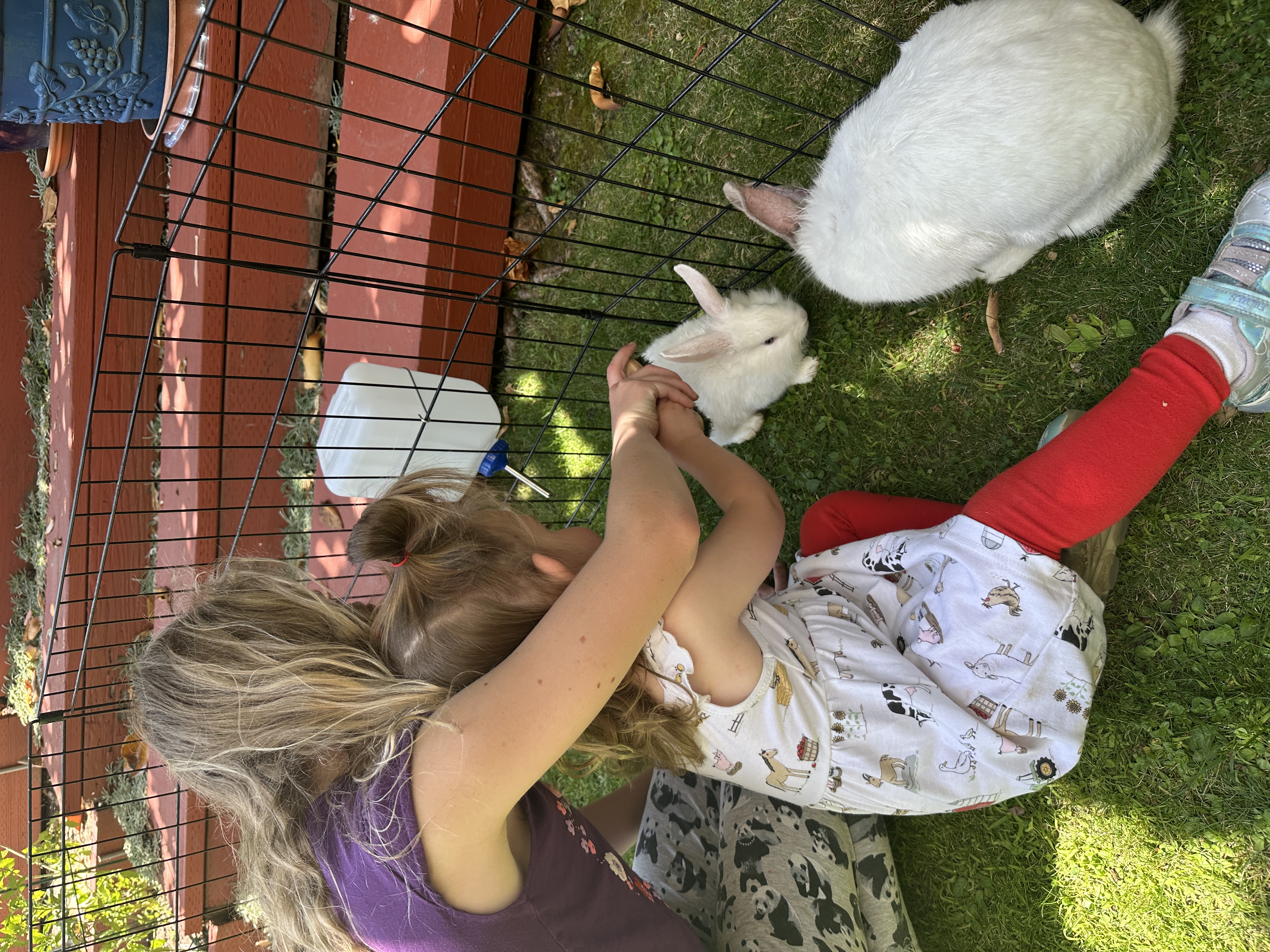 A joyful child hugging a fluffy white lamb at a birthday party