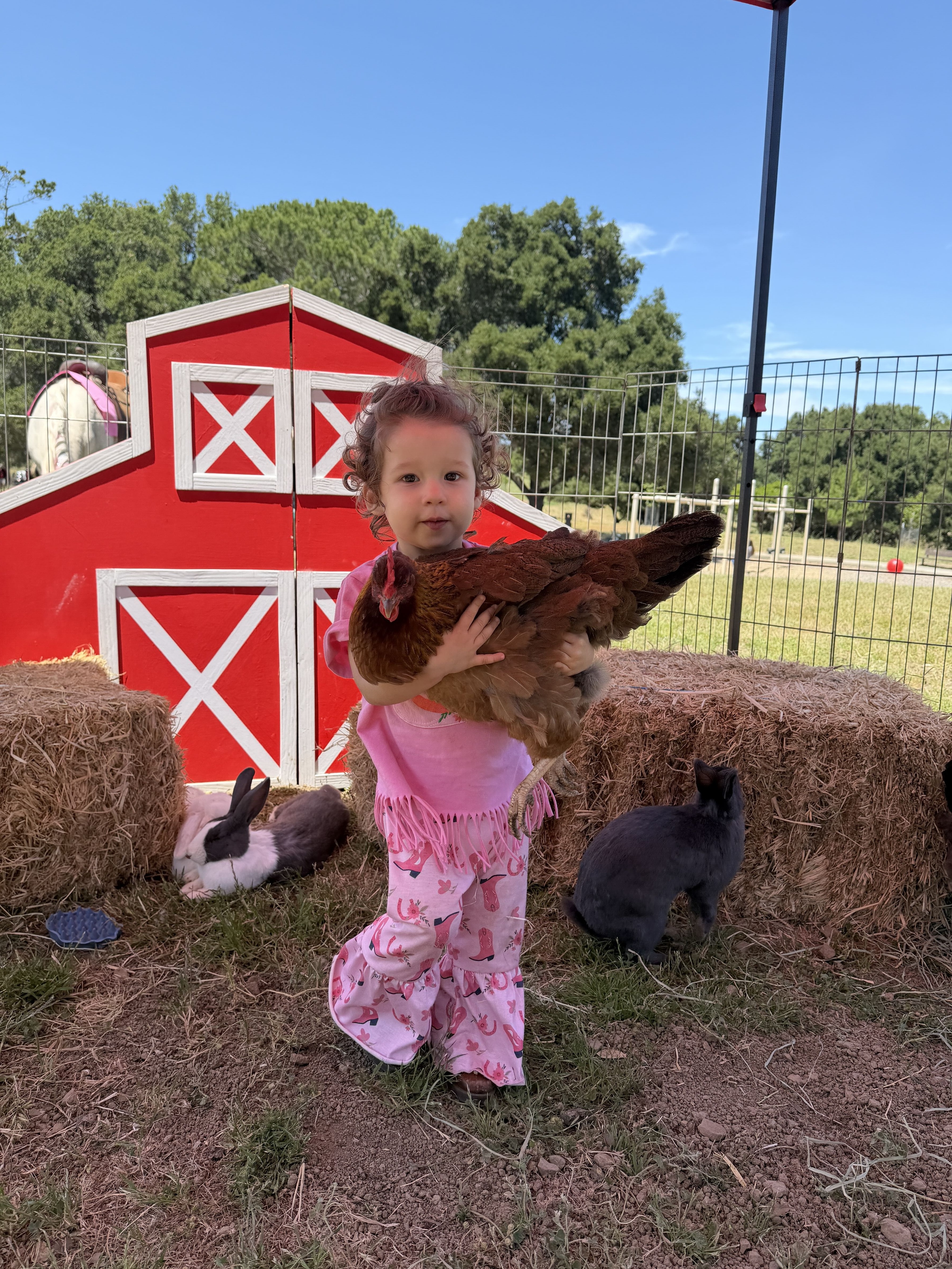 Smiling toddler gently petting a soft fluffy alpaca with curious eyes
