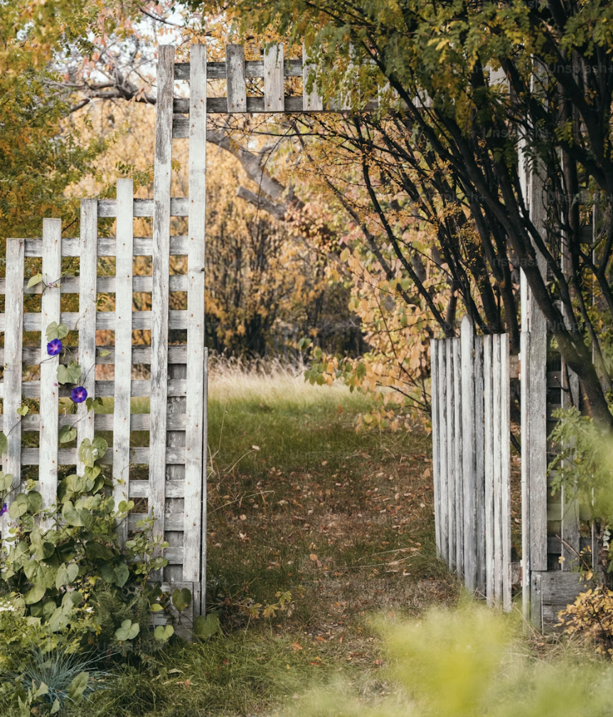 Rhino Precision Work