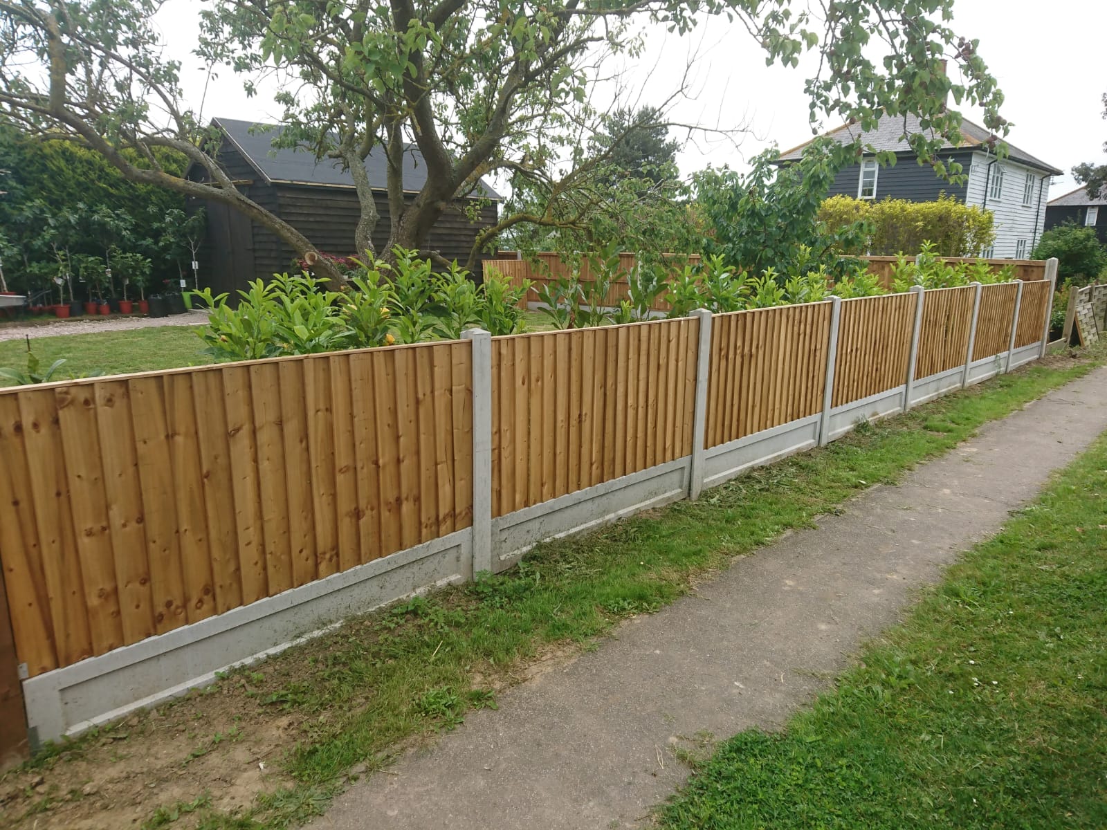 Latest Fencing Project