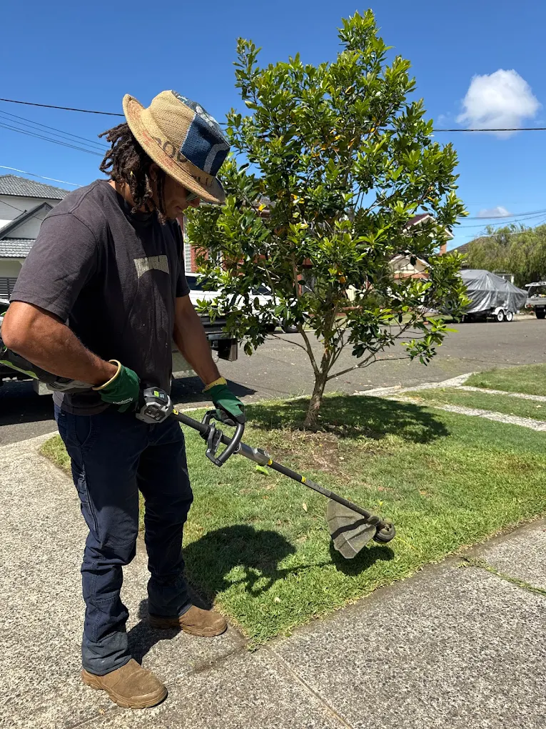 The Backyard Warrior at work
