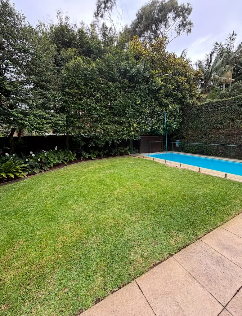 Lawn Restoration Project