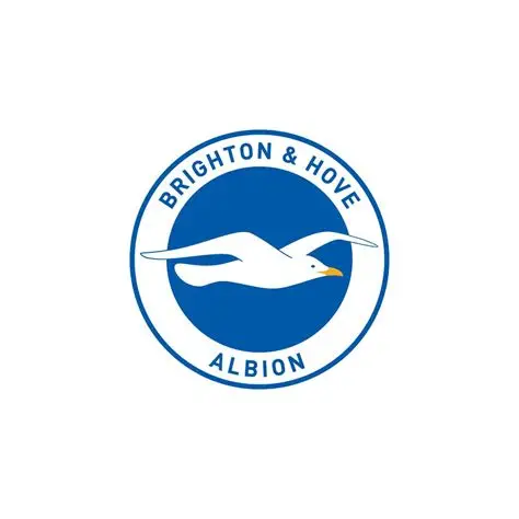 Brighton and Hove Albion team logo crest badge