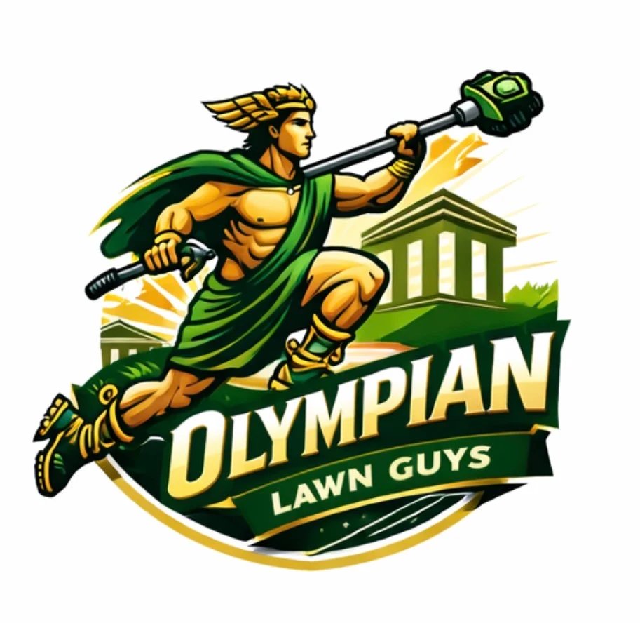 Olympian Lawn Guys team with professional mowing equipment on manicured green lawn