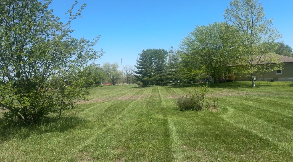 Professional lawn care crew mowing pristine green lawn with clean stripes