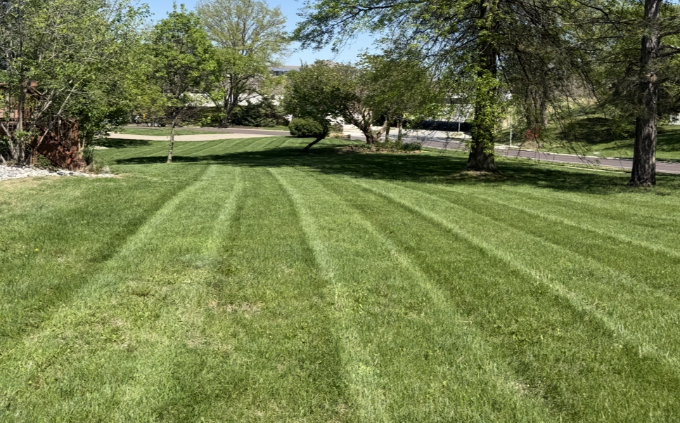 Freshly edged front yard with crisp clean lines along sidewalk and driveway