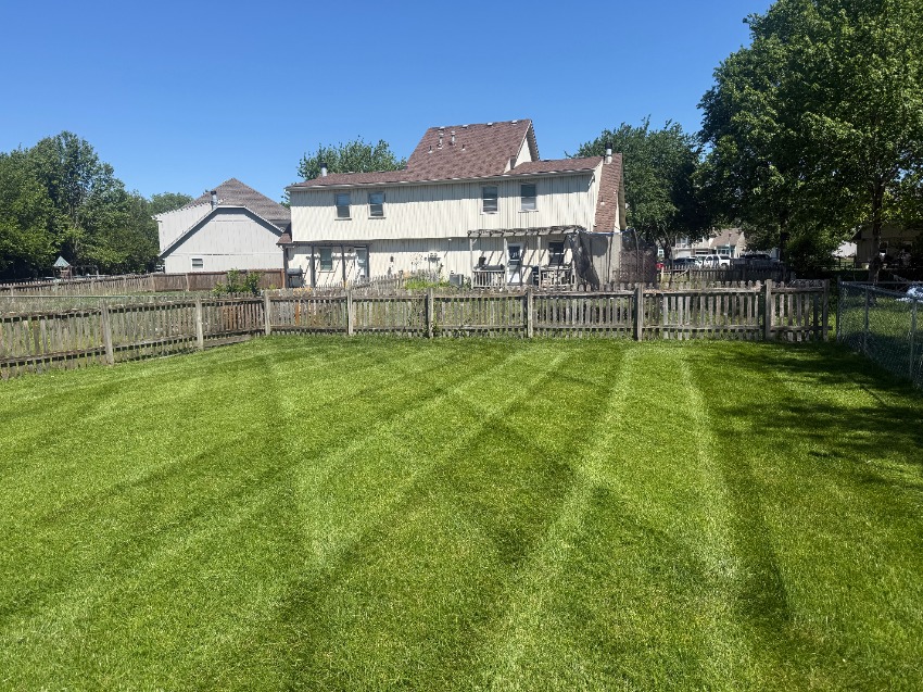 Professional landscaper performing seasonal cleanup with leaf blower on suburban lawn