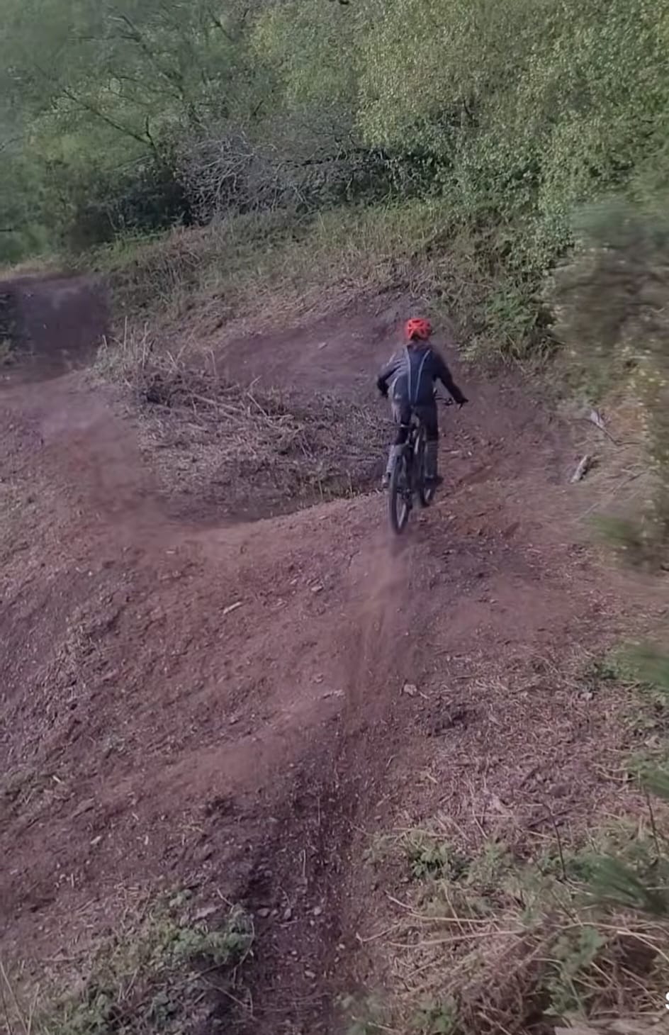 Close-up action shot of a mountain bike navigating a technical, root-filled forest trail in Exmoor
